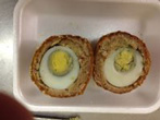 Scotch egg